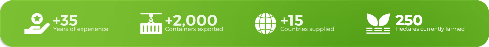 +35 years of experience, +2,000 containers exported, +15 countries supplied, 250 hectares currently farmed