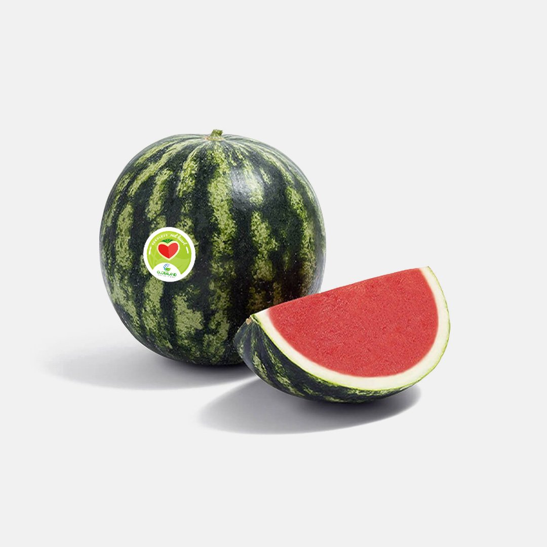 Lajoya seedless watermelon – Globaland