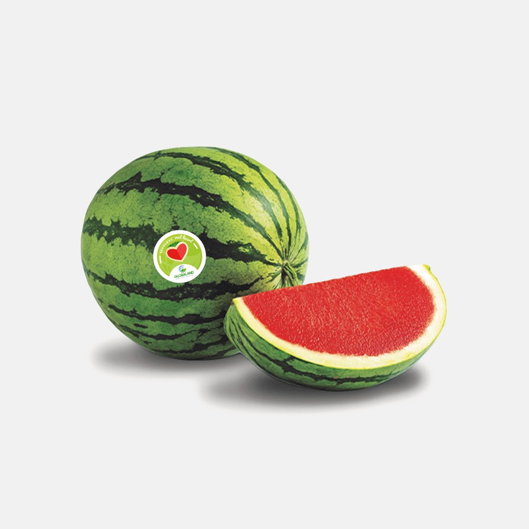 Oxana seedless watermelon – Globaland
